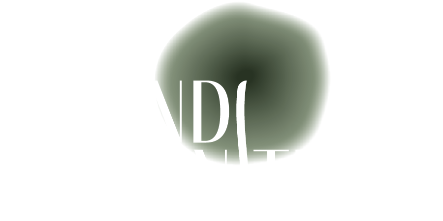Scandi logo